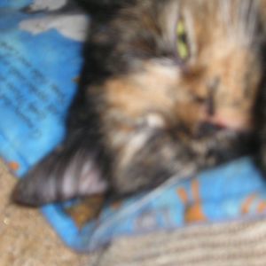 Meet your Posher, Chloe